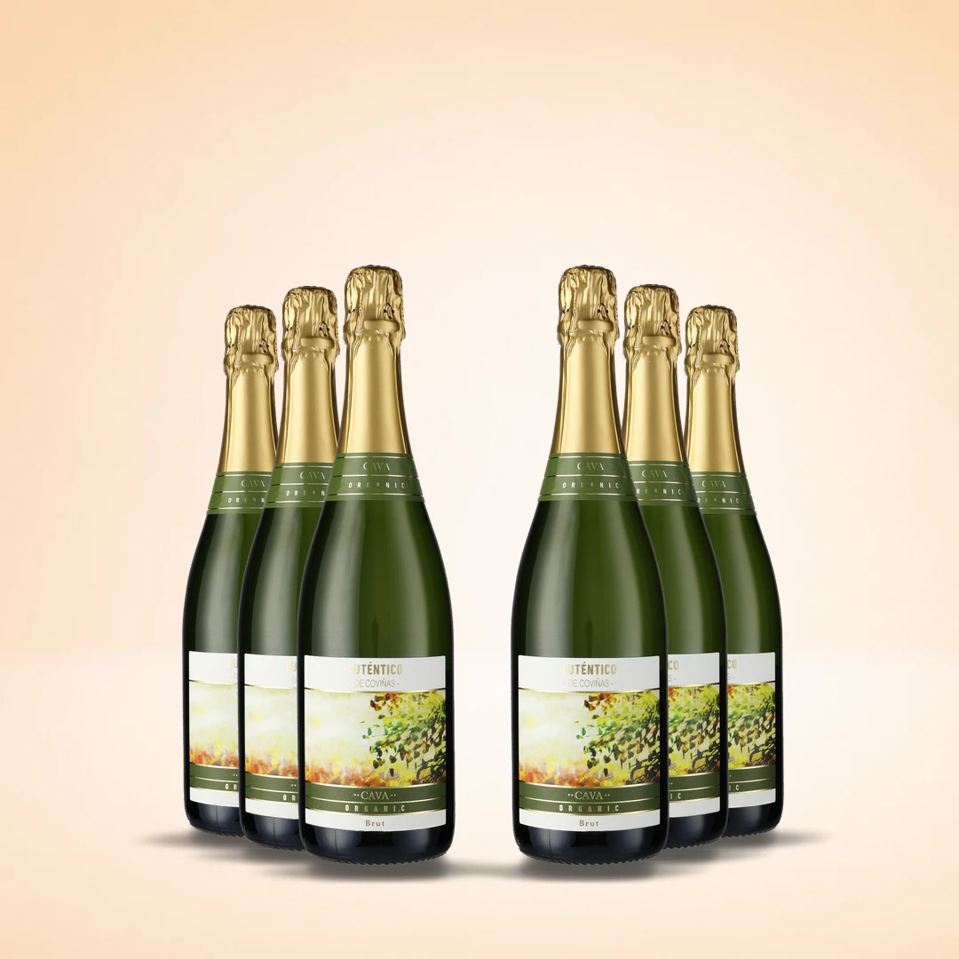 Autentico Cava Brut, 6-pack