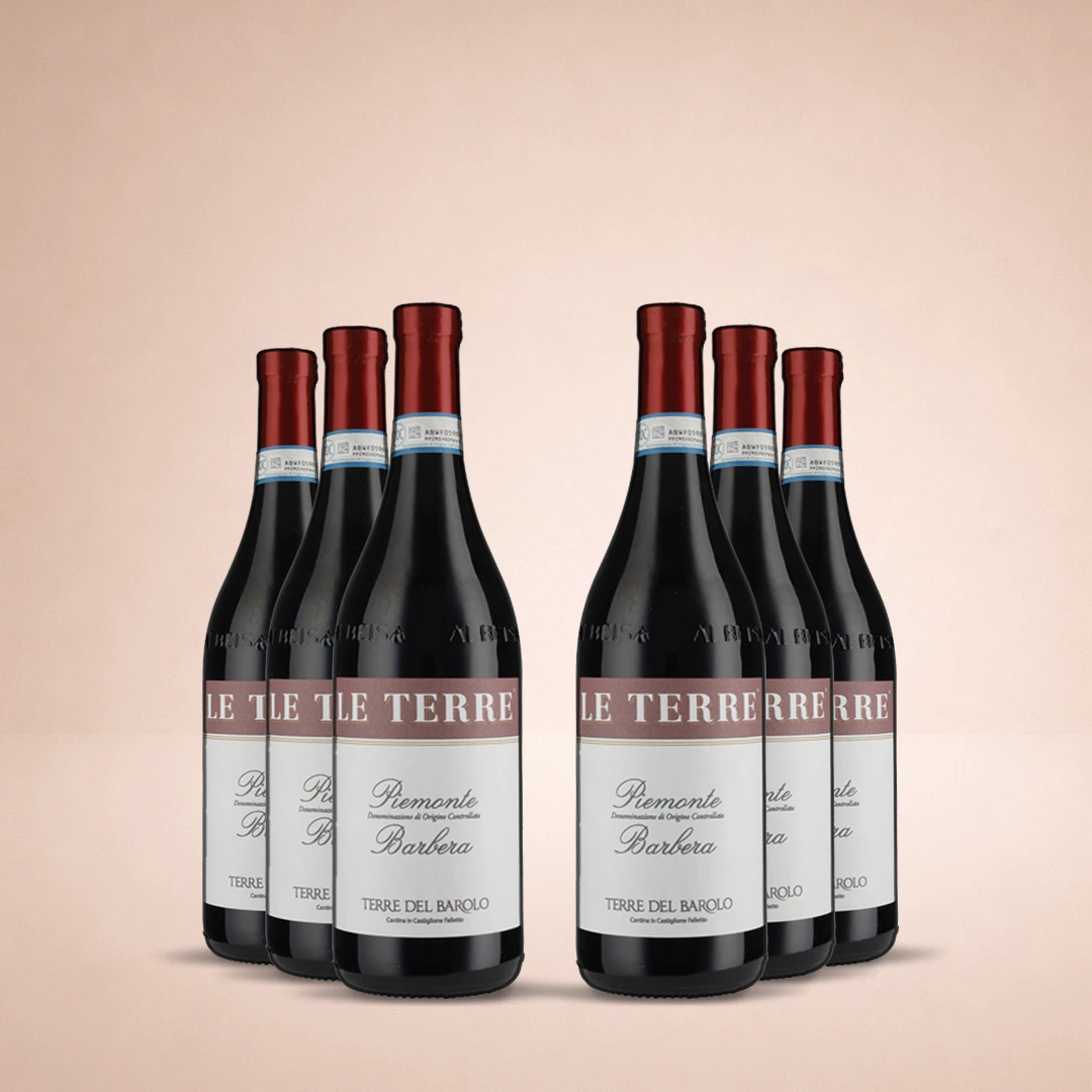 Barbera Piemonte 2023, 6-pack