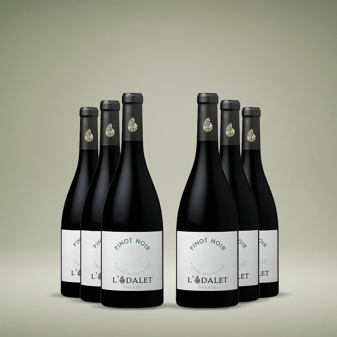 Pinot Noir 2024, 6-pack